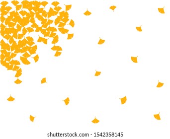 This is an illustration of the silhouette of a ginkgo.