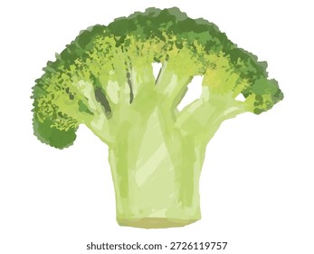 Dies ist eine Illustration eines kleinen Brokkoli-Floretts (groß, halb geschnitten). Es kann für kochbezogene Designs, Illustrationen, Diagramme usw. verwendet werden.
