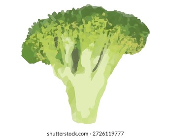Dies ist eine Illustration eines kleinen Brokkoli-Floretts (dünn und halbgeschnitten). Es kann für kochbezogene Designs, Illustrationen, Diagramme usw. verwendet werden.