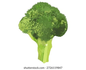 Esta é uma ilustração de um pequeno floreto de brócolis. Ele pode ser usado para projetos relacionados a culinária, ilustrações, diagramas, etc.