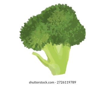 Esta es una ilustración de un Pequeño (Grande) floret de brócoli. Se puede utilizar para diseños relacionados con la cocina, ilustraciones, diagramas, etc.