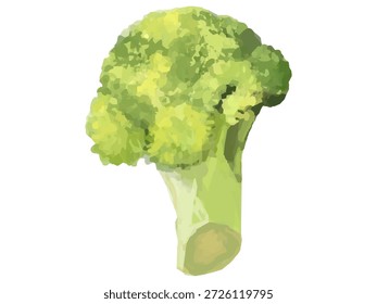 Esta é uma ilustração de um pequeno floreto de brócolis (amarelado). Ele pode ser usado para projetos relacionados a culinária, ilustrações, diagramas, etc.