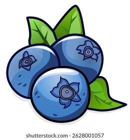 This is an illustration of some blueberries
