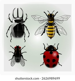This is an illustration of some bugs