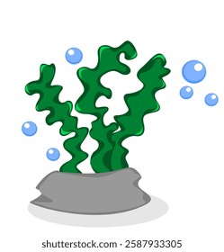 This is an illustration of some seaweed