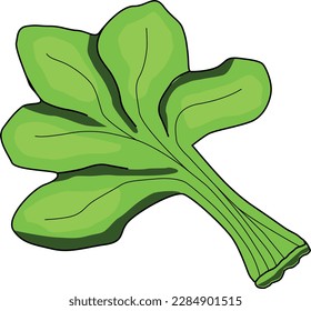 This illustration of spinach will feast your eyes and inspire creativity in cooking. Get this garlic illustration right away and enjoy the unexpected beauty of this simple yet magical food!