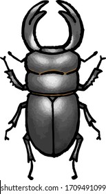 This is an illustration of a stag beetle.