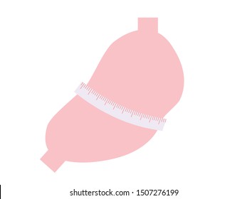 This is an illustration of the stomach. Please use for illustrations.
