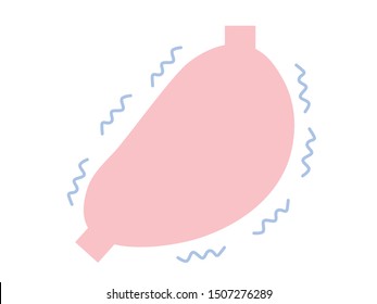 This is an illustration of the stomach. Please use for illustrations.
