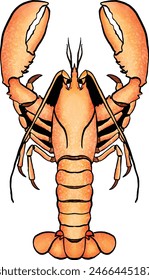 this illustration is suitable for restaurant menu or children book illustration