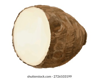 This is an illustration of taro cut in half. It is used in stir-fries and other dishes. It can be used for cooking-related designs, illustrations, diagrams, etc.