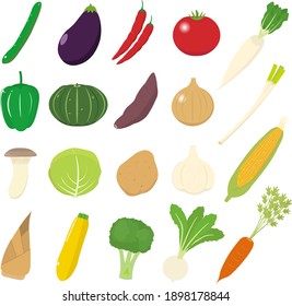This is an illustration of various kinds of vegetables