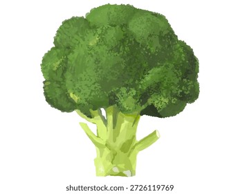 Esta es una ilustración de todo un brócoli. Se puede utilizar para la decoración de diseño o ilustraciones vegetales.