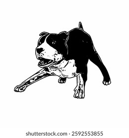 This image is animal ilustration isolated design of amstaff dog