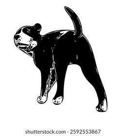 This image is animal ilustration isolated design of amstaff dog