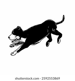 This image is animal ilustration isolated design of amstaff dog