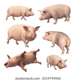 This image is animal ilustration vector design isolated collection of Pig  pink Piggy  sus scrofa 
