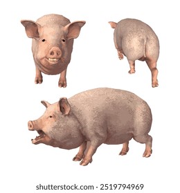 This image is animal ilustration vector design isolated collection of Pig  pink Piggy  sus scrofa 