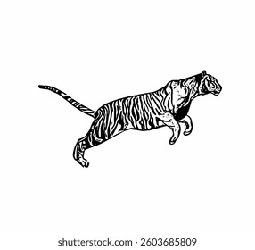 This image is animal Tiger line art vector ilustration design 
