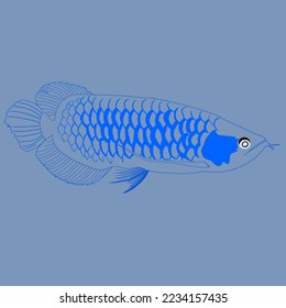 Esta imagen del pez arowana se puede usar para cualquier cosa