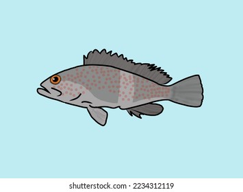 This image of arowana fish can be used for anything