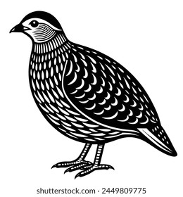 This image is barred-button quail vector illustration