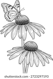 Esta Imagen es una ilustración en blanco y negro de una mariposa posada sobre una coneflower. La mariposa tiene marcas distintivas en sus alas, y la coneflower tiene pétalos Grandes y un centro prominente. La ilustración es detallada e intrincada, mostrando la belleza de la naturaleza.