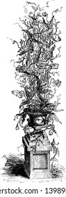 In this image of Cactus plant and it is planted in pot, vintage line drawing or engraving illustration.