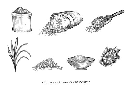 Dieses Bild zeigt eine handgezeichnete Illustration von Reis in verschiedenen Formen, einschließlich Säcken, Schaufeln, Schüsseln, Pfählen und Stielen.