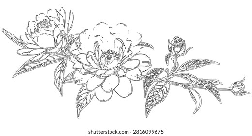This image depicts an