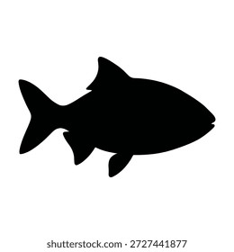 This image depicts the silhouette of a fish. The dark, solid shape of the fish is outlined against a lighter background, highlighting its streamlined body and distinct fins. The fish appears to be swimming, with its tail fin slightly curved and its pectoral and pelvic fins clearly visible.