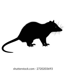 Esta imagem mostra a silhueta de um rato. O rato é mostrado numa vista de perfil, com a sua cauda estendida atrás dela. A silhueta é preta sobre um fundo branco, destacando a forma distinta do corpo, cabeça e cauda do rato. O rato parece estar a andar, com as patas da frente ligeiramente levantadas.