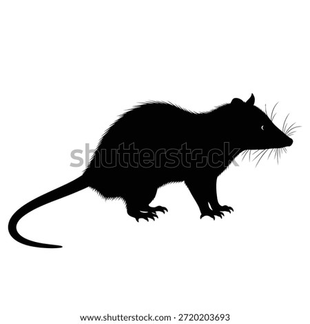 This image depicts the silhouette of a rat. The rat is shown in a profile view, with its tail extended behind it. The silhouette is black against a white background, highlighting the distinct shape of the rat's body, head, and tail. The rat appears to be walking, with its front paws slightly raised.