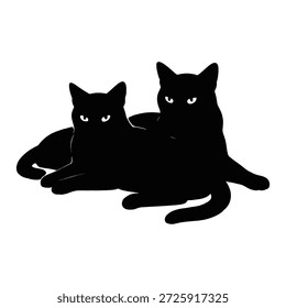 Dieses Bild zeigt zwei schwarze Katzen, die nebeneinander liegen. Die Katzen wirken entspannt und werden so positioniert, dass sie auf eine Gesellschaft schließen lassen. Ihre Augen sind offen und sie scheinen in die gleiche Richtung zu blicken. Der Hintergrund ist einfarbig und weiß, wodurch die schwarzen Katzen hervorstechen.