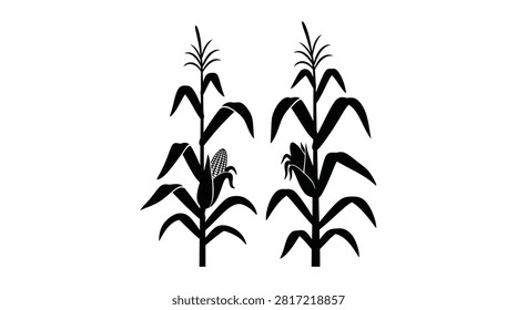 This image depicts two corn stalks with cobs rendered as a stark black silhouette against a white background.