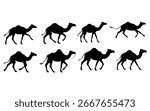 This image displays black silhouette illustrations of camels in different walking positions.