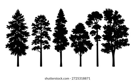 Esta imagem mostra uma coleção de seis silhuetas distintas de pinheiros em preto sobre um fundo branco puro. As árvores variam em altura, forma e densidade foliar, apresentando diferentes espécies ou estágios de crescimento de pinheiros. Da esquerda para a direita, a primeira árvore é uma alta, sempre verde cônica com ramos densos. A segunda e terceira árvores também são perenes altas com copas ligeiramente mais largas e padrões distintos de ramificação. A quarta e a quinta árvores são mais curtas e mais largas, com ramos mais espalhados, sugerindo tipos maduros ou diferentes de pinheiros. A sexta árvore na extrema direita é alta com um dossel arredondado muito cheio. A representação gráfica fornece uma visão clara e isolada dessas formas naturais, adequadas para elementos de design ou fins educacionais.