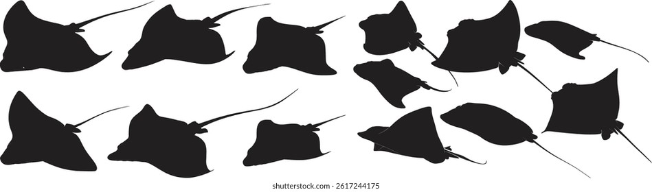 this image displays a collection of stingray silhouettes arranged in two rows against a clean white background display black shapes
