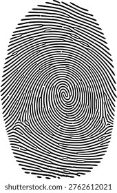 This image displays a high-contrast, black-and-white fingerprint featuring a whorl pattern. The ridges form concentric circles near the center, with additional loops and branching lines radiating outward. Such patterns are commonly used in forensic science and biometric identification systems for unique personal identification. The clarity and detail of the ridges can help in analyzing the minutiae points crucial for fingerprint matching processes.