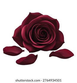 This image features a beautifully illustrated deep red rose with intricate layers of petals. The flower is detailed with a rich, dark hue, and there are a few scattered petals around it, giving a sense of natural beauty and simplicity. The background is plain, ensuring the focus remains solely on the rose.