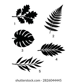 This image features black silhouettes of diverse tropical leaves including ferns, monsteras, and olive branches, set against a clean white background for versatile use.