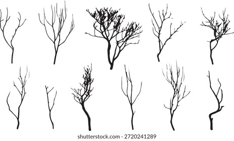 Dieses Bild zeigt eine Kollektion nackter Baumsilhouetten, die in einem Raster angeordnet sind. Jeder Baum hat eine einzigartige Form und Struktur, die die komplizierten Muster ihrer Äste zeigt. Die Bäume sind in einem minimalistischen Stil dargestellt, mit stark schwarzen Linien auf weißem Hintergrund, die ihre Skelettformen hervorheben.