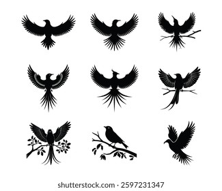 This image features a collection of stylized black silhouettes of birds, showcasing various poses.