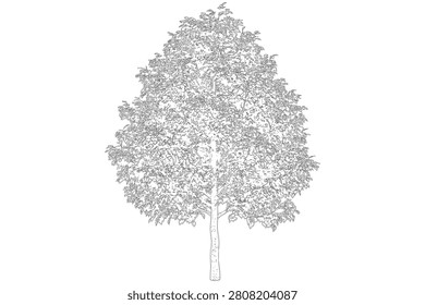 This image features a detailed monochrome drawing of an upright with a slender trunk and dense foliage, suitable for various applications.