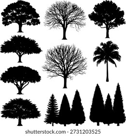 Esta Imagen presenta una variedad diversa de siluetas de árboles, cada una con Formas y formas distintas. Los árboles incluyen especies de hoja ancha, coníferas y una palmera, mostrando la variedad que se encuentra en la naturaleza. Las siluetas se presentan en blanco y negro, enfatizando las estructuras y ramas únicas de cada árbol.