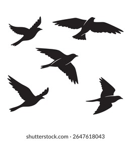 This image features five birds in flight, presented in a striking black silhouette style against a white background.