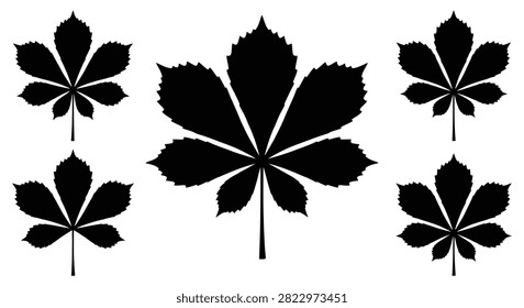 This image features five horse chestnut leaves depicted as a black silhouette against a white background. The silhouette style provides