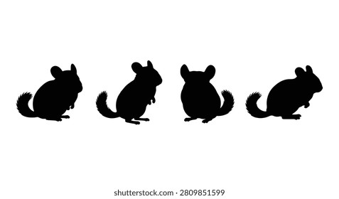 This image features four chinchilla silhouettes depicted in different poses. The style is a flat black silhouette against a plain white background creating a simple and graphic representation.