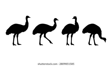 This image features four rhea bird silhouettes depicted in different poses. The birds are shown as flat black shapes against a white background utilizing a distinct silhouette style. The image is a simple graphic representation