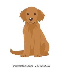 This image features a golden retriever puppy sitting with its front paws together and looking directly at the camera. It has a brown coat, a brown nose, and large brown eyes. The background is white.